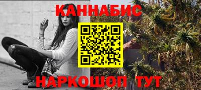 сатива Новодвинск
