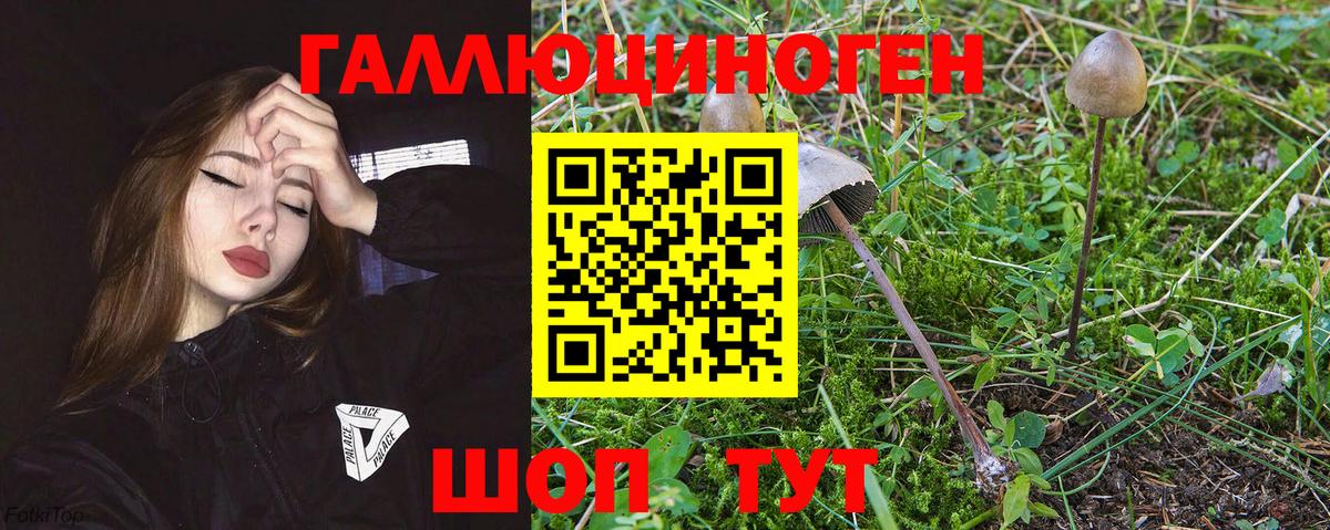 Псилоцибиновые грибы Magic Shrooms  Галлюциногенные грибы Psilocybe  Вход с VPN  Учалы 